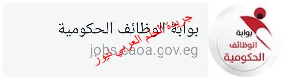 التنظيم والإدارة يعلن تفاصيل مسابقة شغل أكثر من 11 ألف وظيفة معلم مساعد فصل بالتربية والتعليم وبدء التقديم 18 يناير الجاري بقلم ليلى حسين