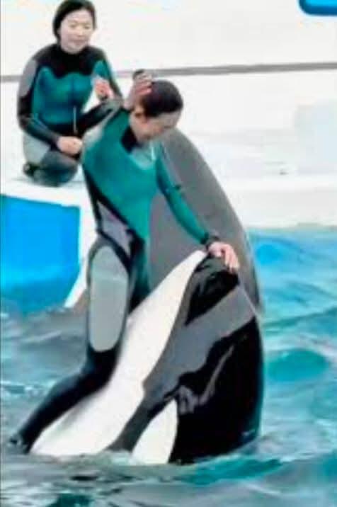 قصة “جيسكا ” الوهمية كيف صنع الذكاء الاصطناعي حادثة لم يحدث!!!