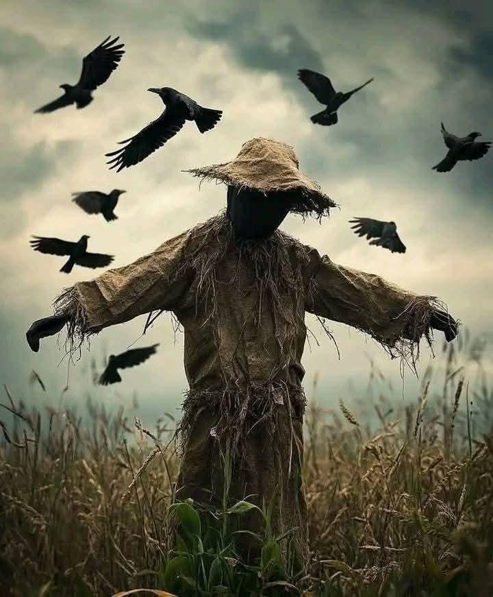 الوهم… حين يصبح أخطر من الحقيقة